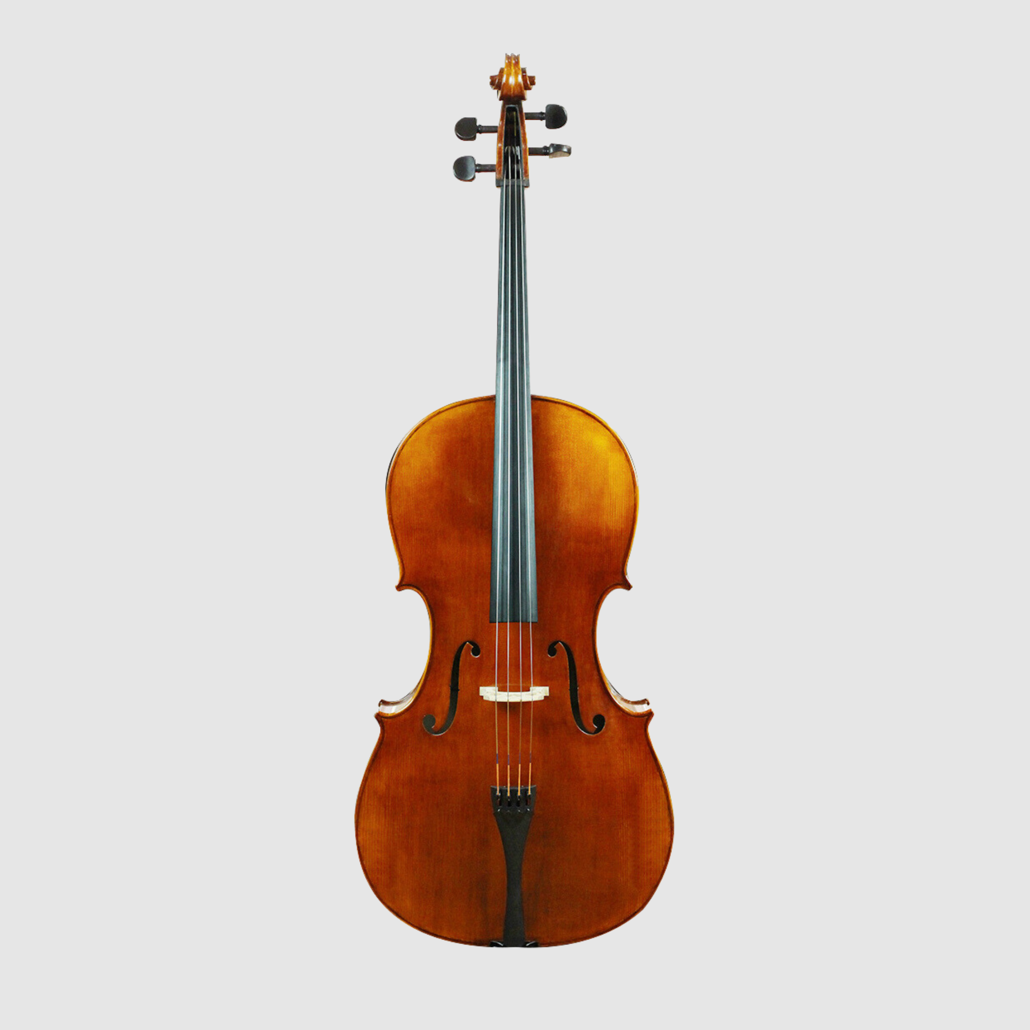 WILH. STEINBERG PSC500S 大提琴 (套裝)