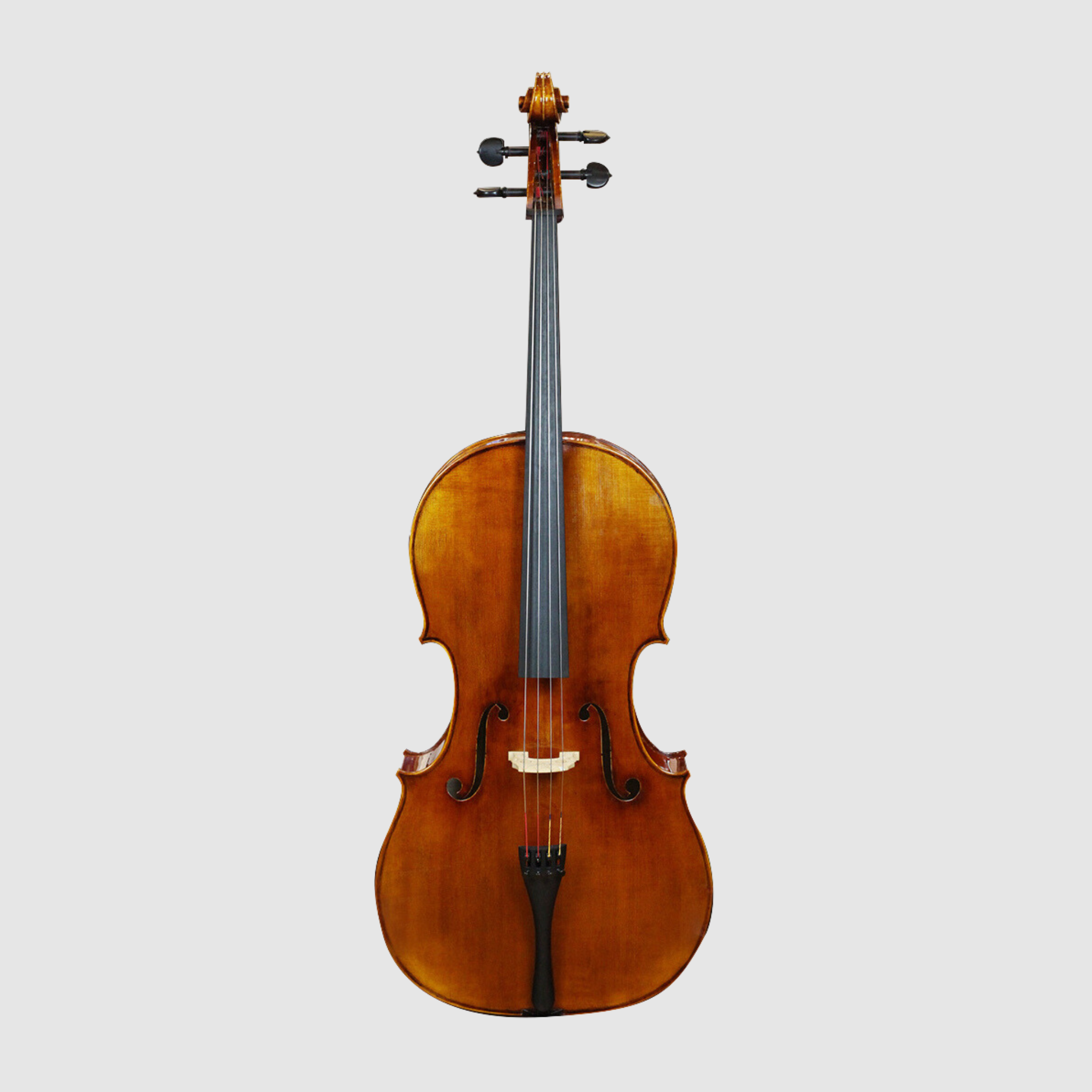 WILH. STEINBERG LSC800 大提琴 (套裝)