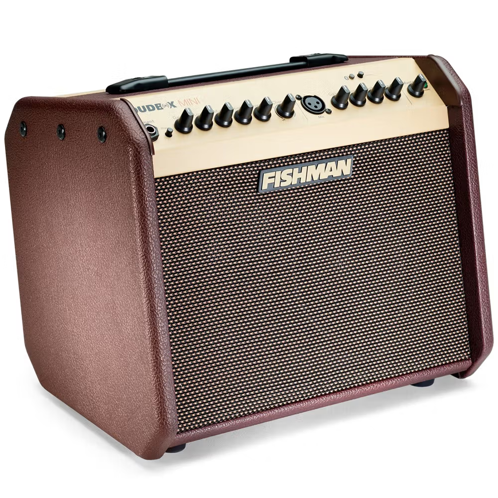 FISHMAN Loudbox Mini w/Bluetooth 木結他音箱